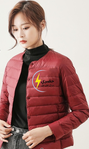 New autumn and winter thin down jacket liner long sleeves women's short style